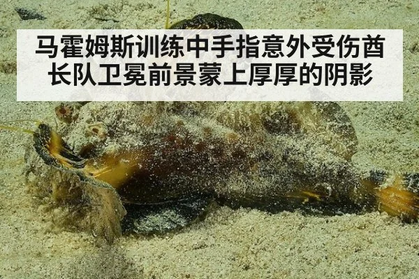 马霍姆斯训练中手指意外受伤酋长队卫冕前景蒙上厚厚的阴影